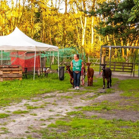Hotel Glamping Z Alpakami Jankowice  Exterior foto